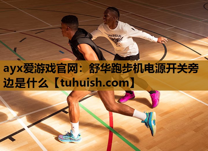 舒华跑步机电源开关旁边是什么