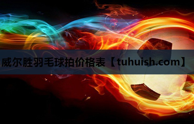 威尔胜羽毛球拍价格表