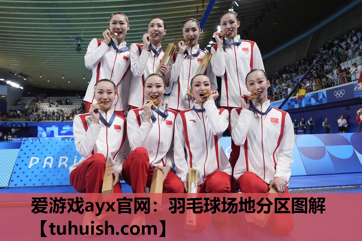 羽毛球场地分区图解